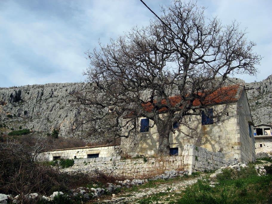 Suhi Potok * Jesenice (Split-Dalmatia)